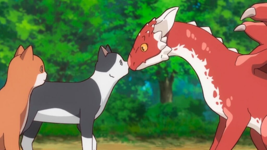 the cat and the dragon anime 2026